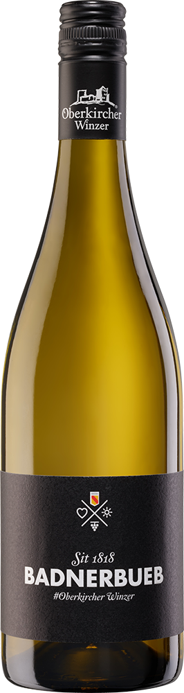 2025 BADNERBUEB Cuvée weiß