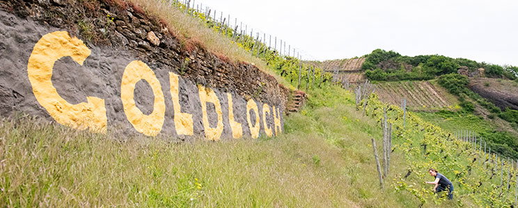 Schlossgut Diel