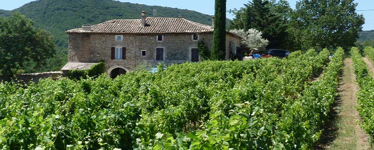 Vignoble de Jape Loup