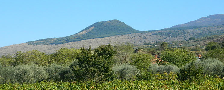 Federico Curtaz
