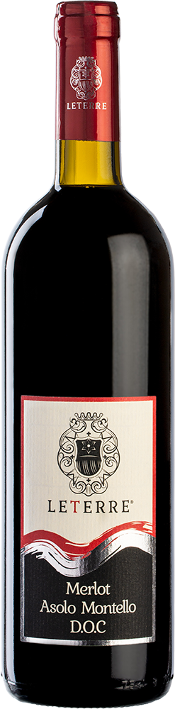 2022 Merlot Asolo Montello DOC