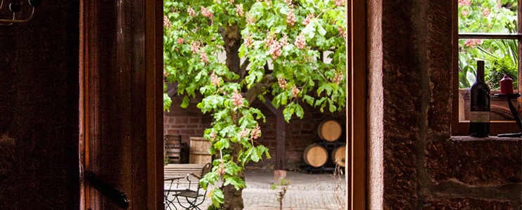 Erlenbach Weine 