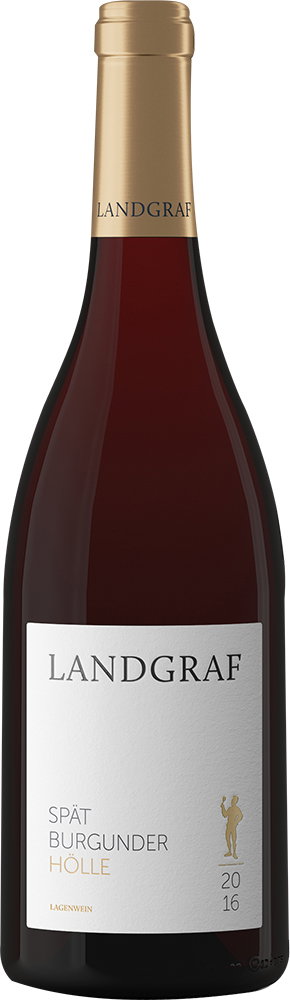 2017 Saulheimer Hölle Spätburgunder BIO