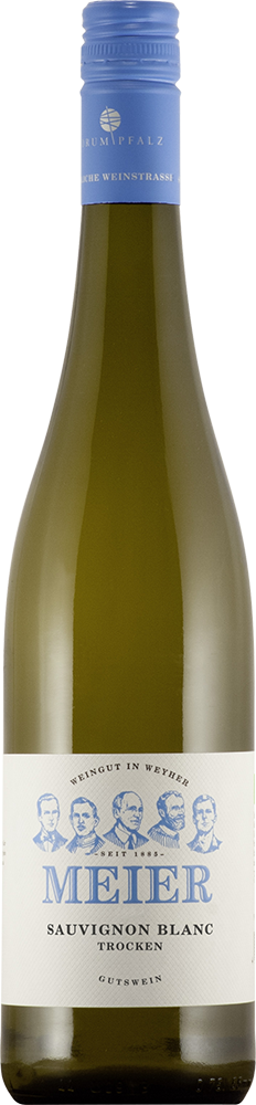 2025 Sauvignon Blanc BIO