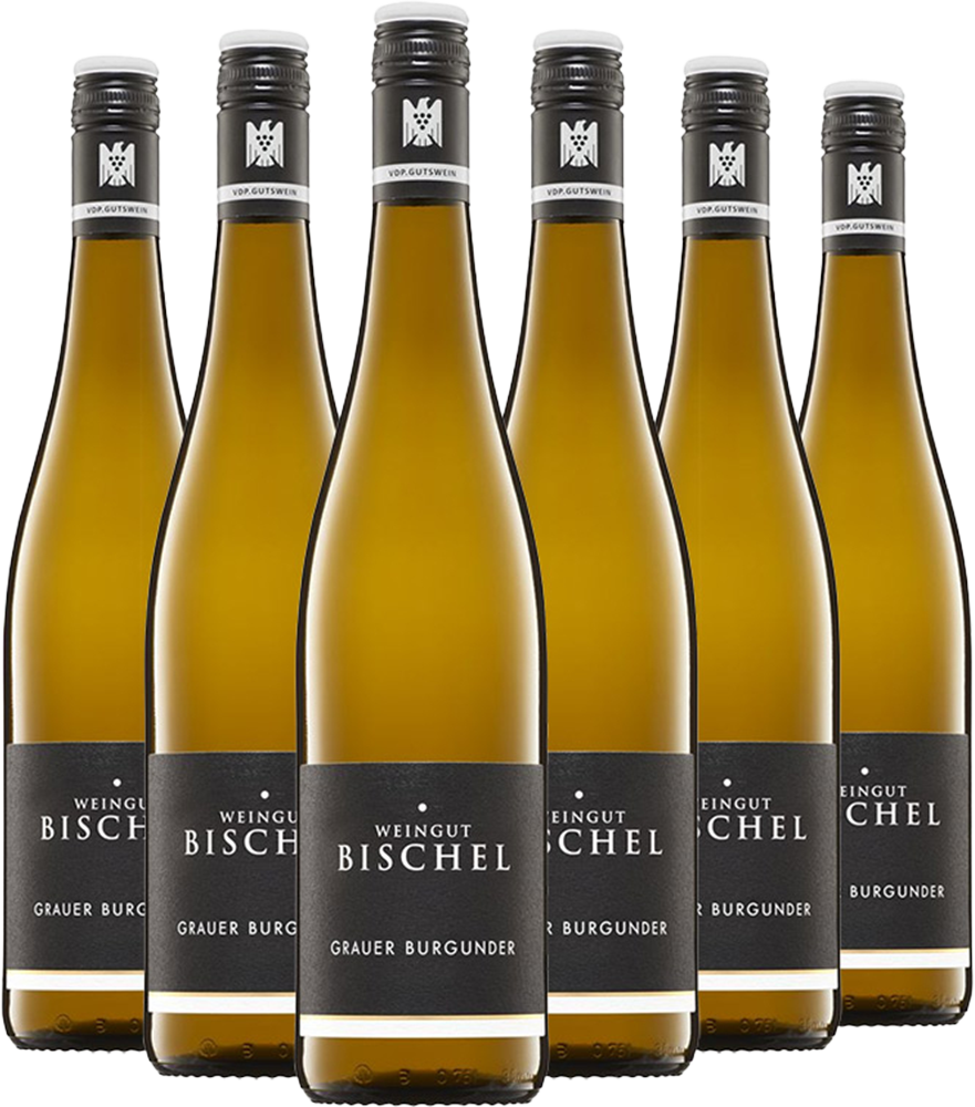 Grauburgunder VDP.Gutswein-Paket BIO