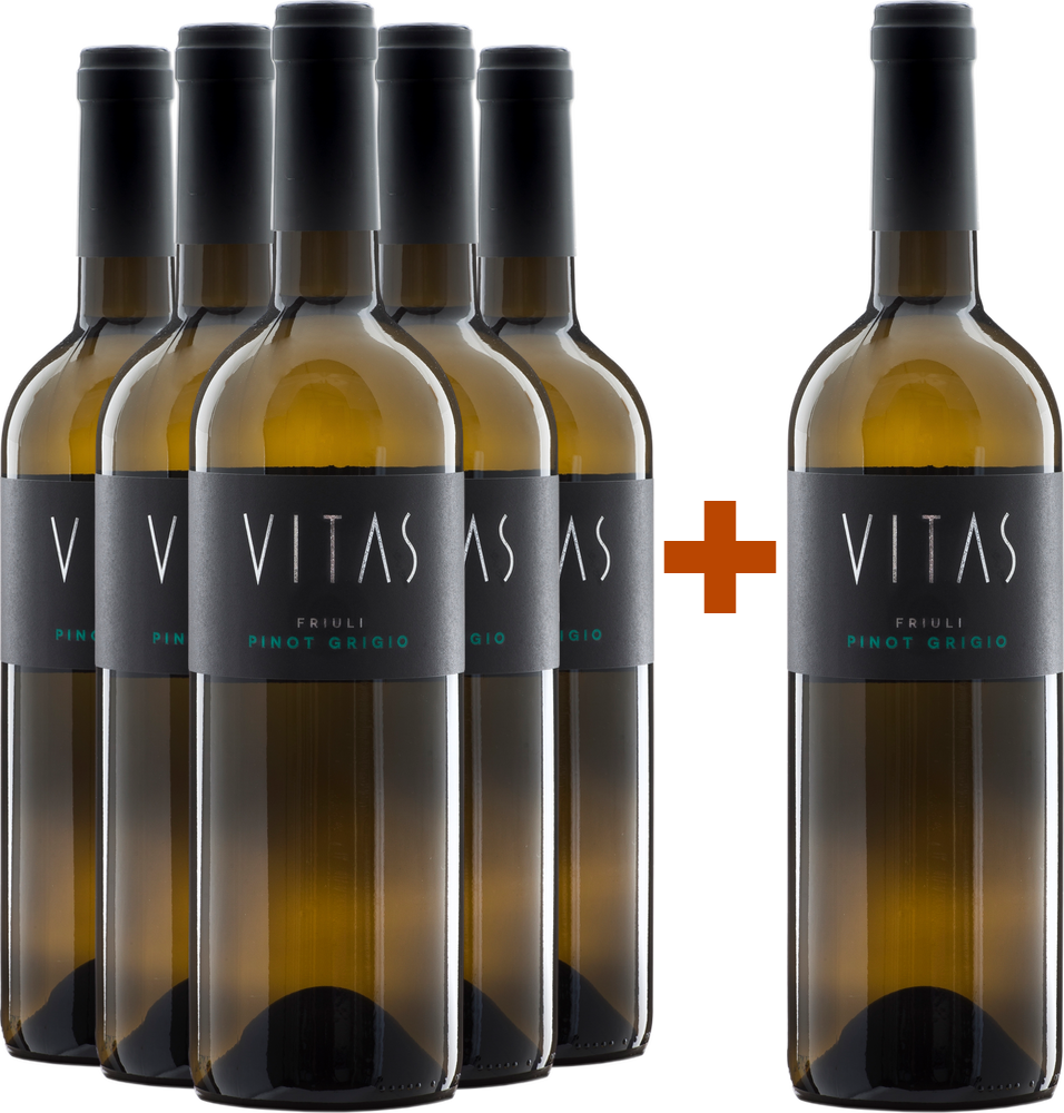 5+1 Pinot Grigio Friuli DOC