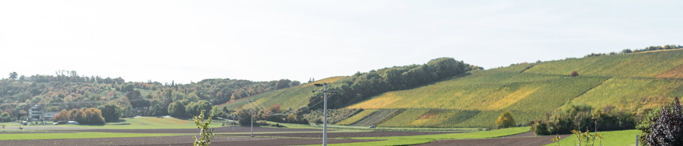 Stühler