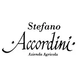 Stefano Accordini