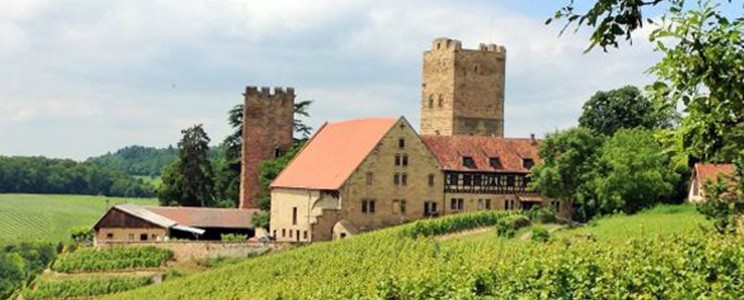 Comtes de Neipperg