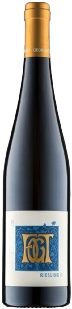 2025 SIEFERSHEIMER GOLDENES HORN Riesling