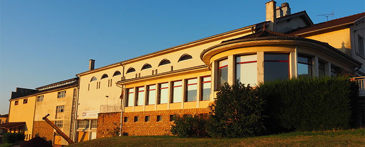 Oedoria
