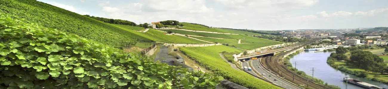 Weinberg oberhalb von Fluss und Straße