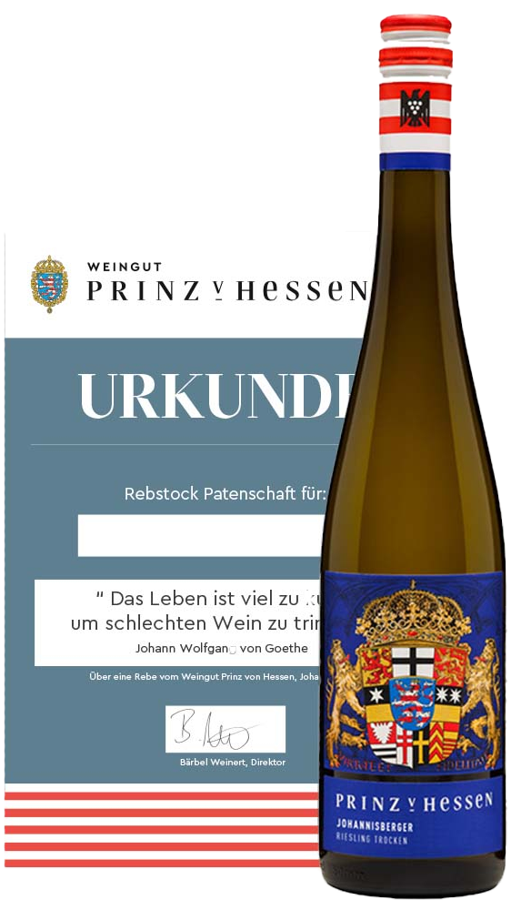 3 jährige Rebstockpatenschaft