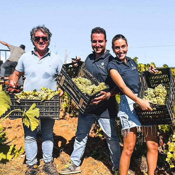 Mimmo, Francesco & Domiziana Tola