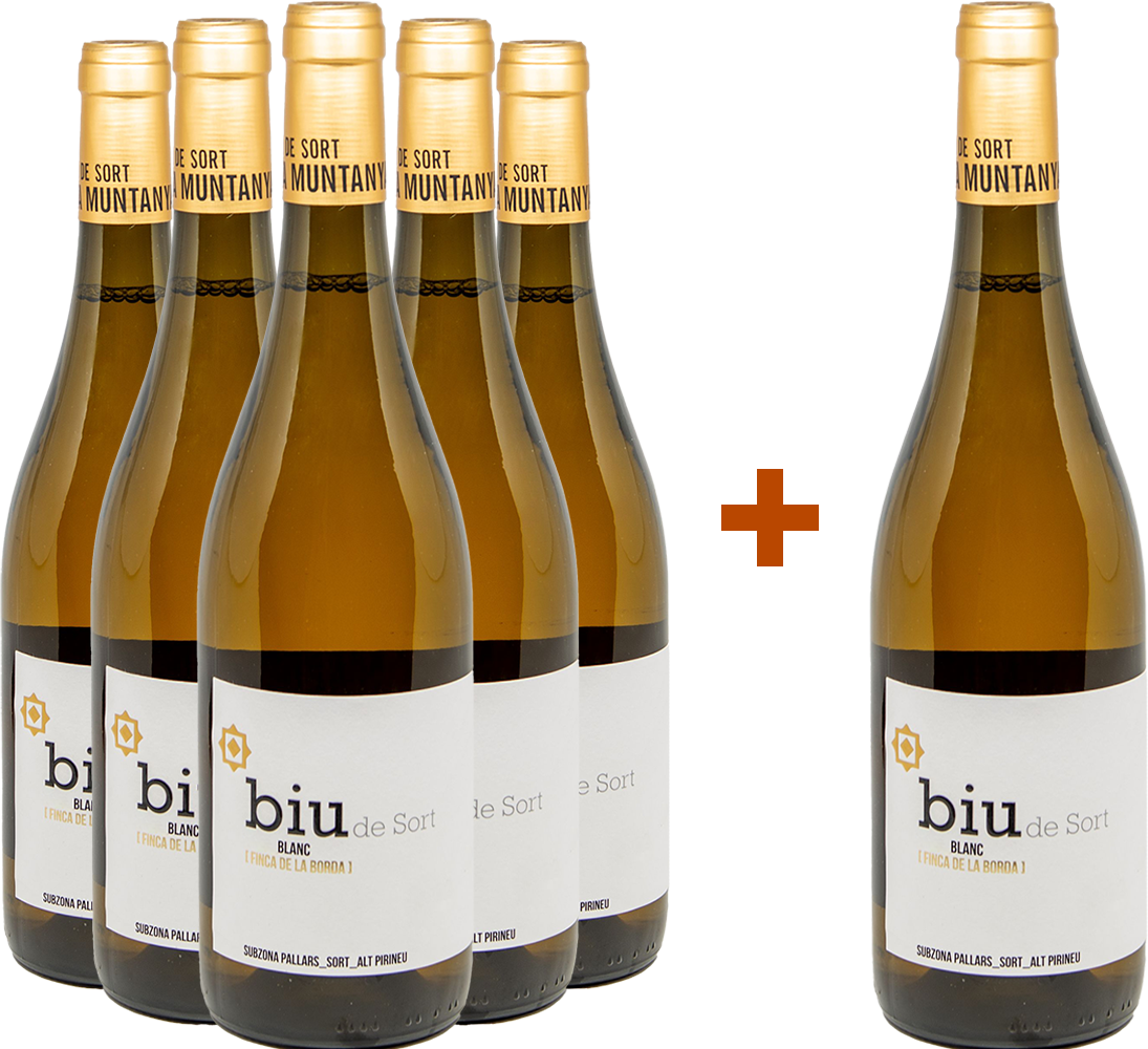Aktionspaket 5+1 Biu Riesling Costers del Segre DO