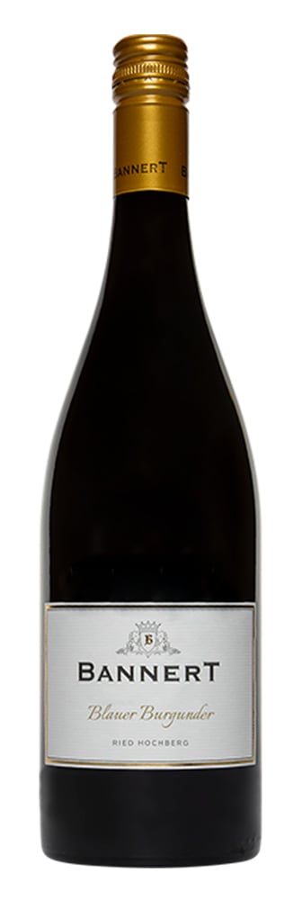 2019 Blauer Burgunder RESERVE, Ried Hochberg