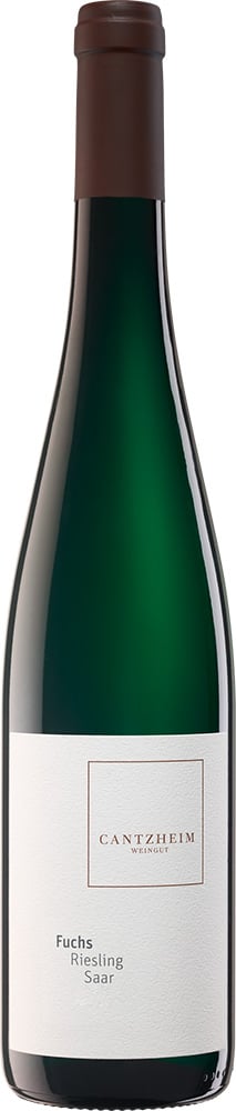 2024 der Kabinett "Fuchs" reflection