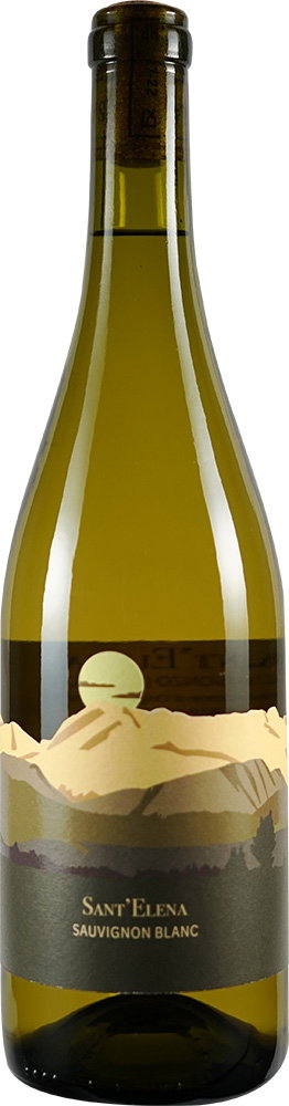 2023 Sauvignon Friuli Isonzo DOC BIO reflection