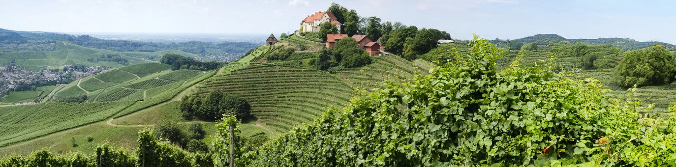 Weinregion Baden mit terrassierten Weinbergen und Schloss