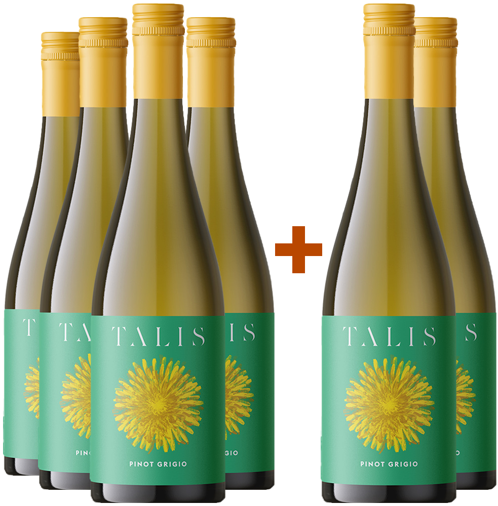 4+2 Talis Pinot Grigio Friuli DOC