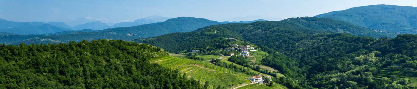 Tenuta Stella