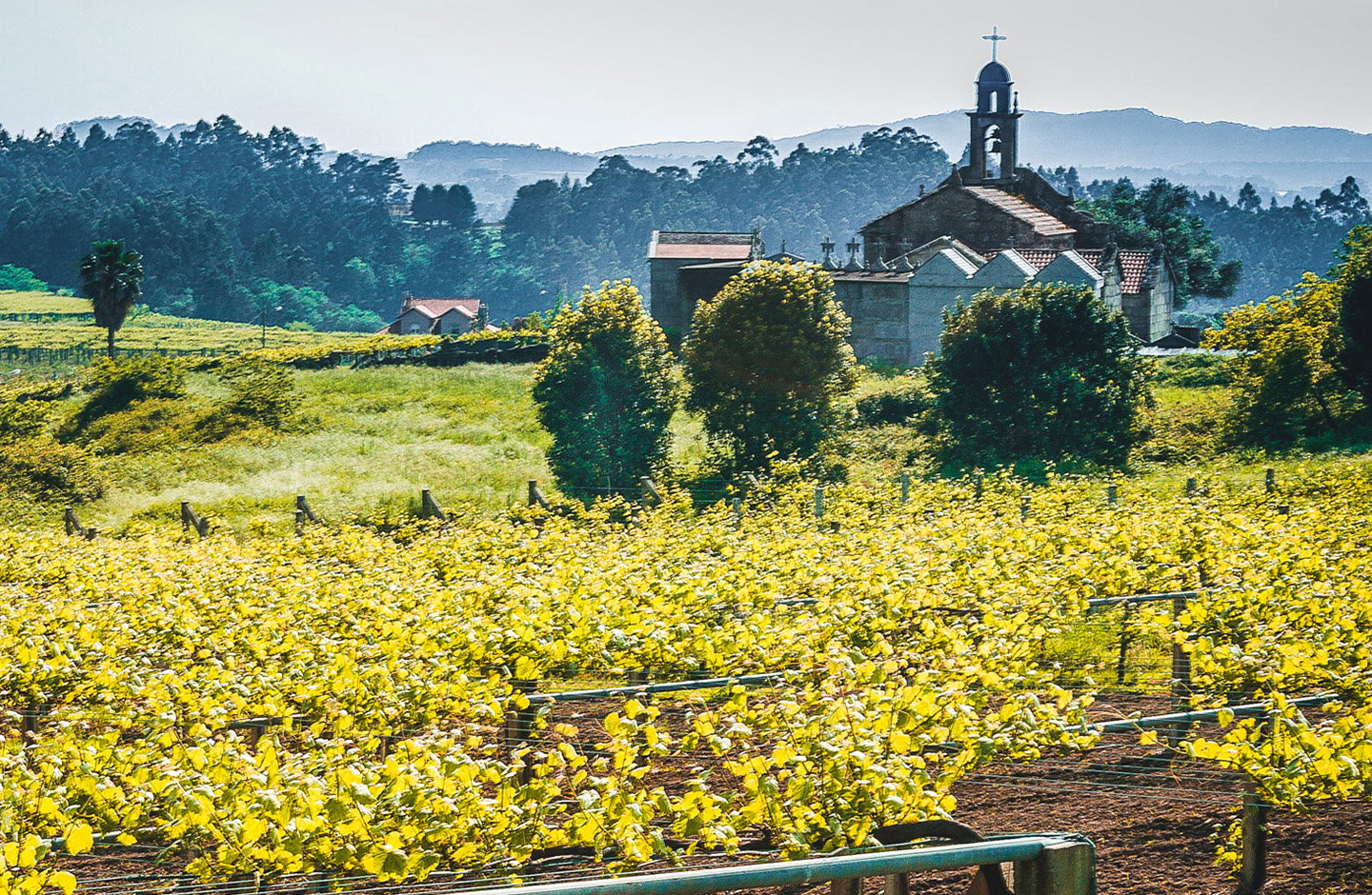 Lagar de Besada