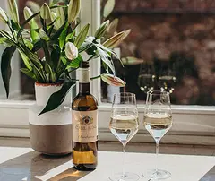 Alkoholfrei_Weine