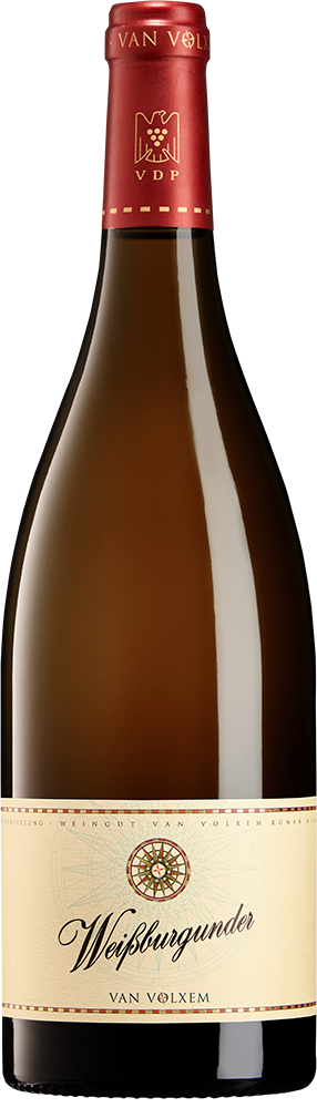 2024 Weißburgunder