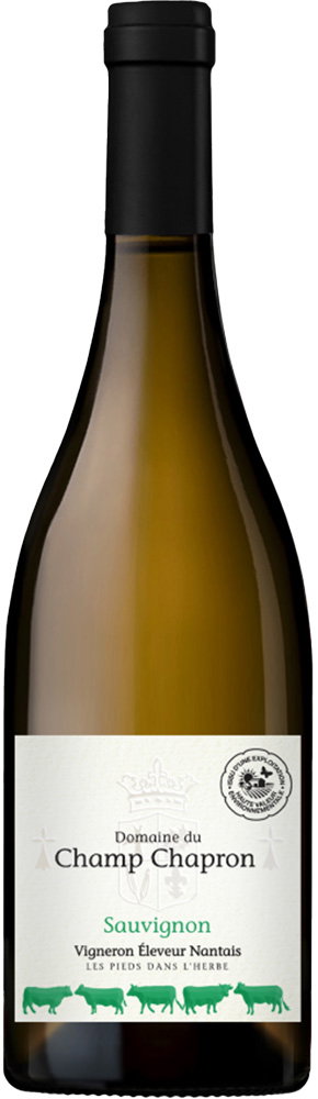 2023 Sauvignon Val de Loire IGP
