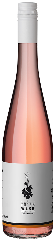 2024 TRIEBWERK Schillerwein