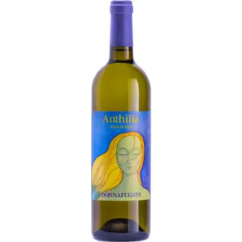 2025 Anthilia