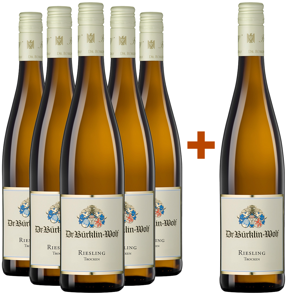 5+1 Paket Riesling BIO