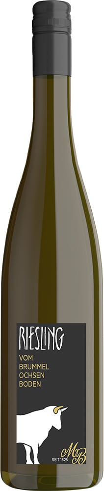 2024 Dalsheimer Sauloch Riesling vom Brummelochsenboden