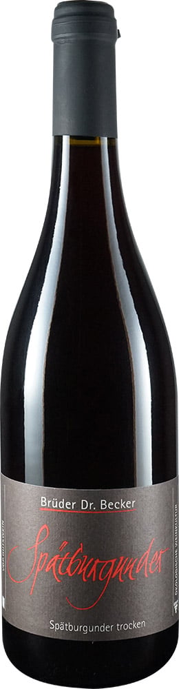 2022 Spätburgunder VDP.GUTSWEIN BIO