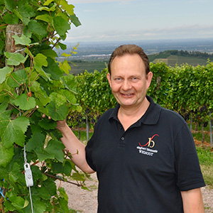 Siegbert Bimmerle