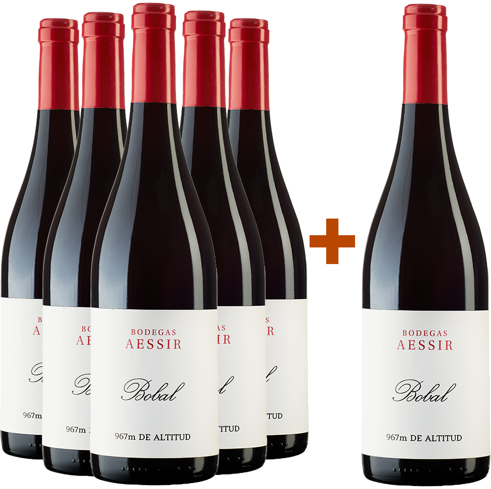5+1 Aktionspaket Bobal Tinto BIO