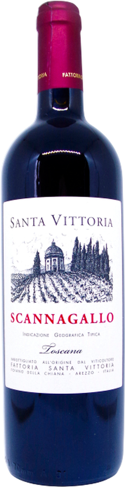 2024 Scannagallo Toscana IGP reflection