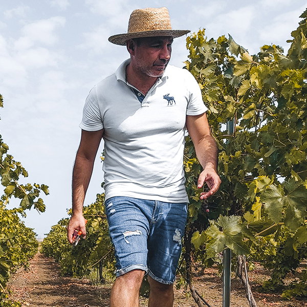 Michele Castiglione