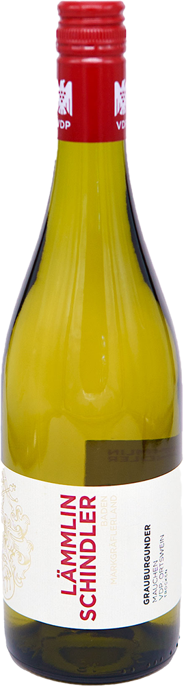 2024 Mauchen Grauburgunder Ortstwein BIO