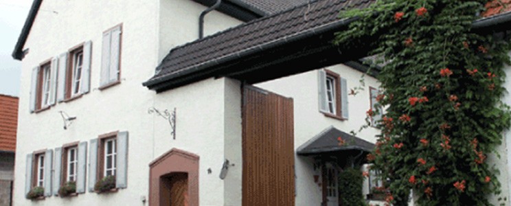 Petry & Frieß