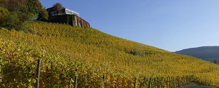 Weingut Schloss Saarstein