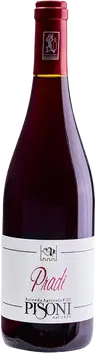 2023 Pradi Teroldego Vigneti delle Dolomiti IGP BIO
