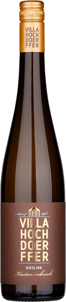2024 Riesling "Birkweiler Kastanienbusch"