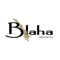 Martin Blaha