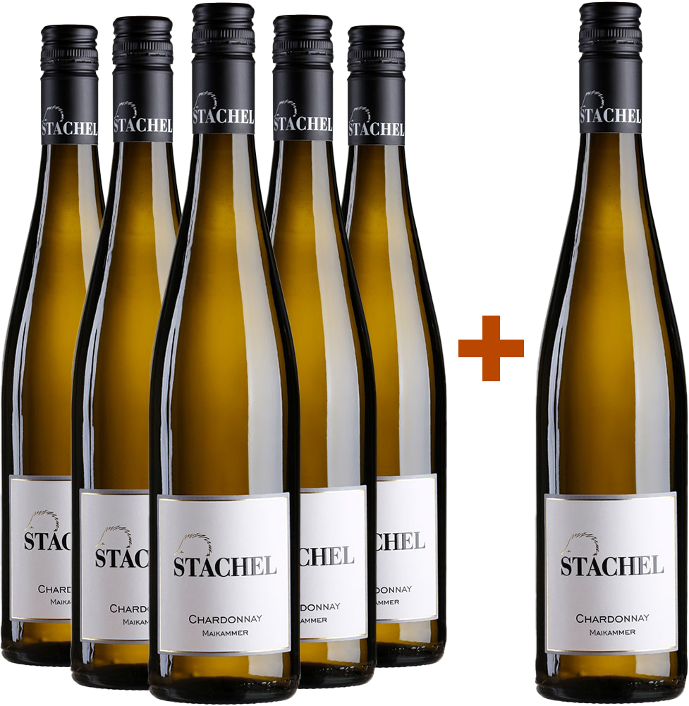 5+1 Paket Chardonnay Maikammer trocken