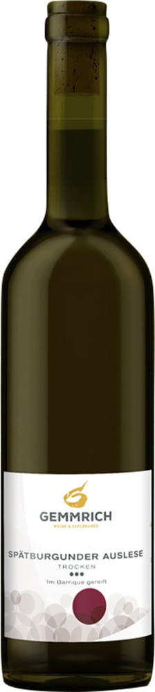 2009 Spätburgunder Auslese (im Barrique gereift) ᛫᛫᛫