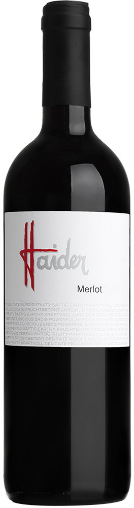 2022 Merlot BIO