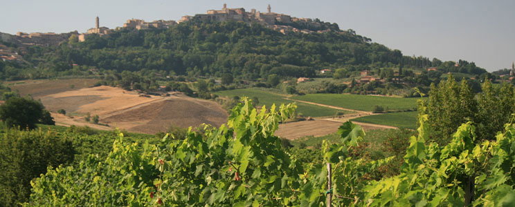 Fattoria della Talosa