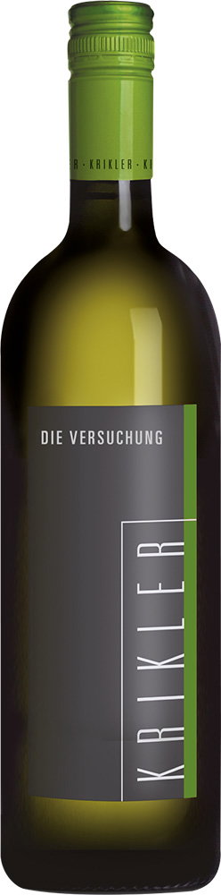 2024 Die Versuchung reflection