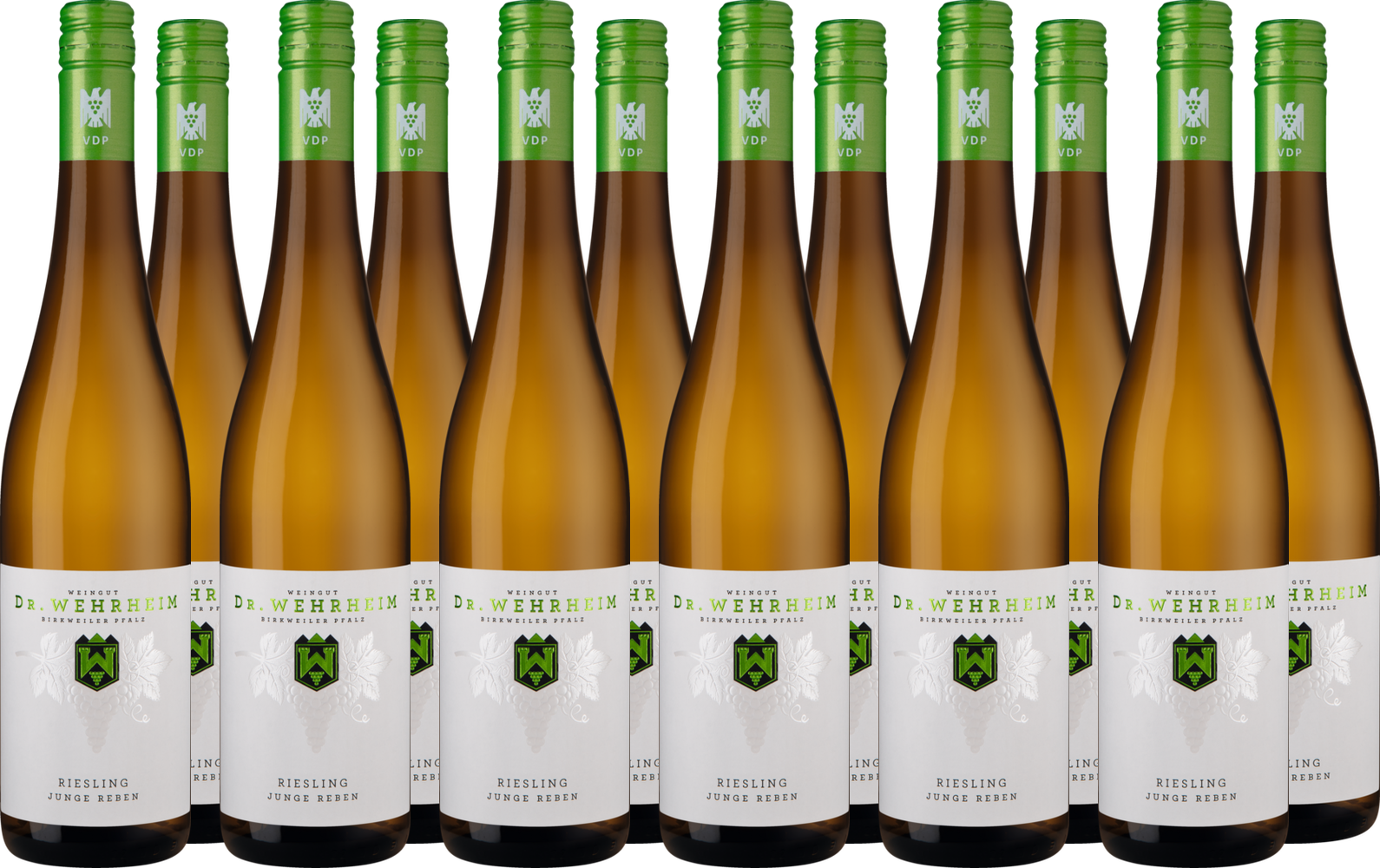 Großes Riesling Junge Reben-Paket BIO
